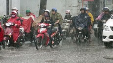 Dự báo thời tiết ngày 11/3: Mưa rét, Hà Nội giảm xuống 13 độ C