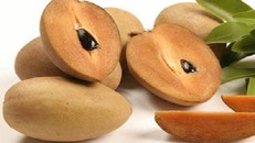 Trái hồng xiêm có tác dụng phòng chống ung thư cực hiệu quả