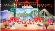 Khai mạc Lễ hội Hoa anh đào - Mai vàng Yên Tử, Hạ Long năm 2016