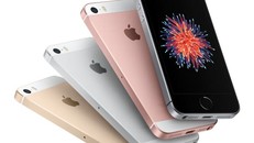iPhone SE: Trông chẳng khác gì iPhone 5S, giá gần 9 triệu