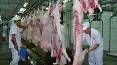 Người Việt đã ăn 6 tấn chất cấm trong thịt heo?