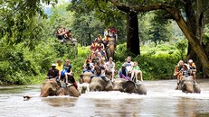 Ẩn họa tiềm tàng của du lịch sinh thái