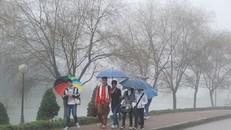 Dự báo thời tiết 29/3: Miền Bắc mưa phùn, nồm ẩm đến hết tuần