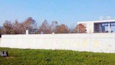 Lét lút sinh con ngoài ban công, nữ sinh mất máu đến thiệt mạng