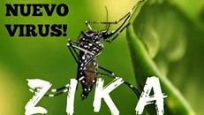Bộ Y tế khẳng định đến 30/3 Việt Nam chưa có ca nhiễm virus Zika