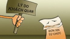 Phó giám đốc Sở xin từ chức vì sinh con thứ 3