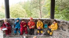 Thú vị mô hình trường mầm non 'không tường' ở Mỹ