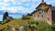 Đã mắt ngắm đồi nho được công nhận là di sản văn hóa thế giới