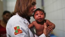 3 quốc gia láng giềng của Việt Nam xuất hiện virus Zika