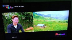 Tư duy 'ao làng' của VTV và sự sòng phẳng của Youtube