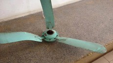 Quạt trần rơi vào đầu: Tin lời sinh viên hay hiệu trưởng?