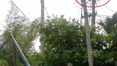 Cúp điện nhưng một công nhân vẫn bị điện giật chết