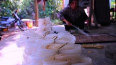 Đặc sản Bình Định với tên gọi 'Bún số 8'