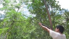 Hà Nội: Tử vong do trúng đạn tự chế lúc đi săn