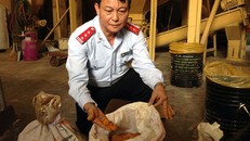 “Lạc lối” giữa rừng chất độc