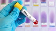 Cập nhật tình hình 2 ca nhiễm Virus Zika đầu tiên ở Việt Nam