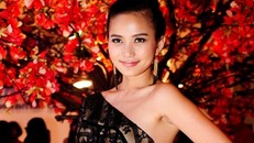 Phan Như Thảo tố kẻ dùng người giả danh công an hại vợ chồng cô