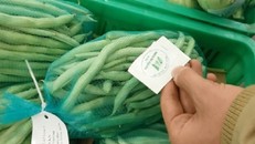 Sự thật nhức nhối về “rau an toàn” bày bán tại các siêu thị