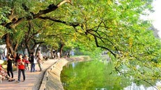 Dự báo thời tiết 11/5: Bắc bộ trời nắng đẹp