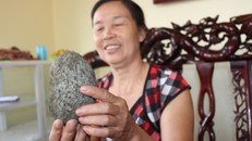 Phát hiện 'quả trứng vàng' tiền tỷ khi mổ lợn ở Hà Nội?