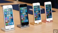 Giá iPhone 6 và 5s tiếp tục giảm sâu, chỉ còn vài triệu đồng