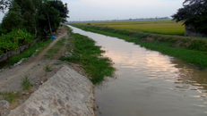 Long An: Rủ nhau tắm kênh, 3 học sinh lớp 1 chết đuối thương tâm