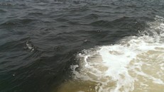 Hà Tĩnh: Ngư dân phát hiện vệt nước có màu lạ khi đi đánh cá