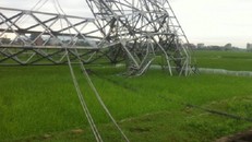 Tốn 6 tỷ đồng để khắc phục cột điện 500kv đổ