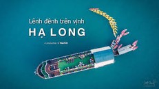 Lênh đênh trên vịnh Hạ Long - Ha Long Bay