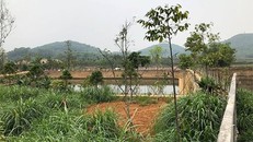 Nhiều khu đất nông lâm trường ở huyện Ba Vì bị xé lẻ làm trang trại
