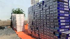 Hơn 1.200 cây thuốc lá lậu bị tịch thu.