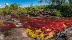 Những hiện tượng thiên nhiên đầy màu sắc trên thế giới