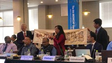 Đoàn Việt Nam bảo vệ thành công hồ sơ "Hoàng hoa sứ trình đồ"