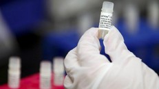 Văcxin mới giúp cơ thể nhận diện tìm diệt tế bào ung thư não