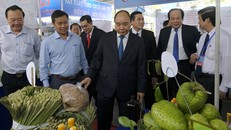 Thủ tướng thăm các gian hàng trưng bày sản phẩm của các DN đang đầu tư tại Tiền Giang. Ảnh: VGP/Quang Hiếu