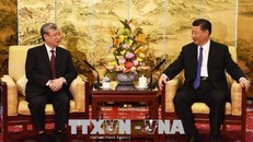 Tổng Bí thư, Chủ tịch nước Trung Quốc Tập Cận Bình tiếp thân mật đồng chí Trần Quốc Vượng. Ảnh TTXVN