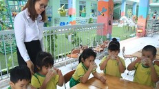 Sữa học đường là đề án được xây dựng với mục tiêu cải thiện tình trạng dinh dưỡng, góp phần nâng cao tầm vóc trẻ em mẫu giáo và học sinh tiểu học. Ảnh: TTXVN