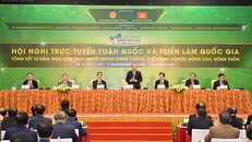 Thủ tướng Nguyễn Xuân Phúc đã chủ trì Hội nghị trực tuyến toàn quốc tổng kết 10 năm thực hiện Nghị quyết "tam nông". Ảnh: VGP/Quang Hiếu