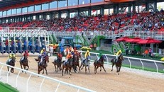 Trường đua ngựa hơn 400 triệu USD sẽ được xây dựng tại xã Tân Minh, huyện Sóc Sơn