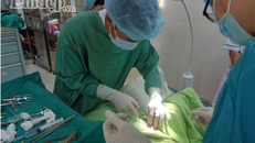 Các bác sĩ dùng thủ thuật mở khí quản cấp cứu bệnh nhân.