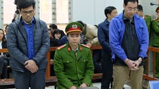 Các bị cáo tại tòa