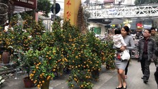 Người Hà Nội chen chân trên phố Hàng Mã, hàng Lược sắm Tết