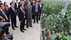 Đoàn lãnh đạo cấp cao Triều Tiên thăm VinFast và VinEco