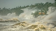 Tác phẩm 'Ngôi nhà trong bão'