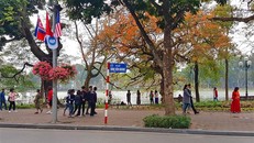 Giỏ hoa được trang trí tại các tuyến phố để phục vụ hội nghị thượng đỉnh Mỹ - Triều lần 2. Ảnh: TTXVN