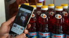 Tiêu chuẩn Quy phạm thực hành sản xuất nước mắm dựa trên thực tế sản xuất nước mắm tại Việt Nam. Ảnh minh họa. (Ảnh: Công Thử/TTXVN)