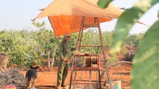 Ông Nguyễn Trọng Phùng chi 40 triệu đồng mở rộng giếng để tìm nước tưới rẫy cà phê. Ảnh: Trần Hóa.