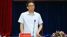 Phó Thủ tướng Vũ Đức Đam phát biểu tại buổi làm việc. Ảnh VGP/Đình Nam