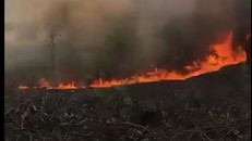 Hiện trường cháy rừng huyện Phong Điền chiều tối 18/5