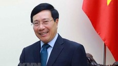 Phó Thủ tướng, Bộ trưởng Ngoại giao Phạm Bình Minh. (Ảnh: An Đăng/TTXVN)